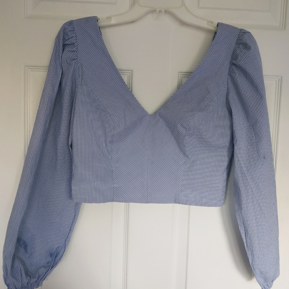 Long Puffed Sleeve Crop Top